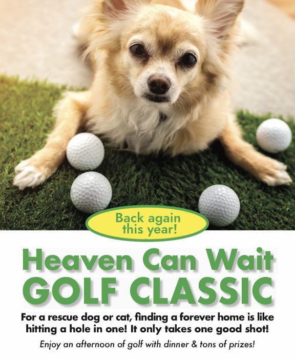 No Year Golf Classic Poster